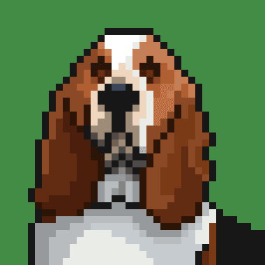 0xbasset profile photo